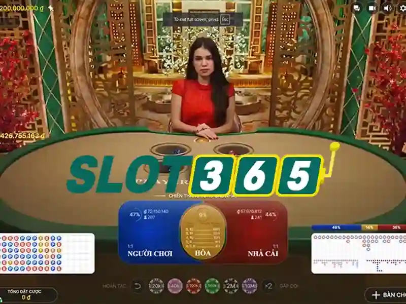 Slot365 là gì và vì sao nó thu hút người chơi