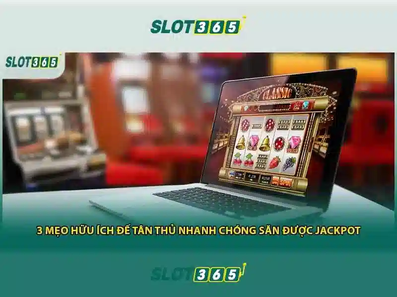 slot365-demo