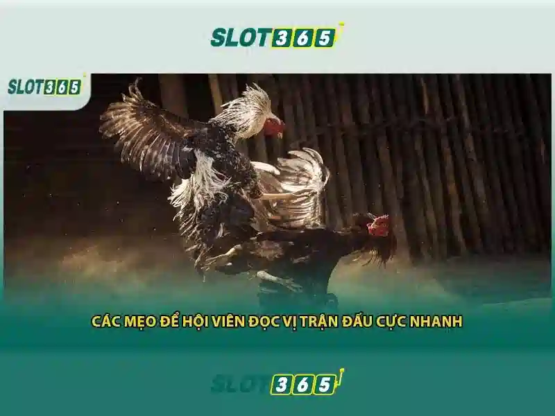 hướng dẫn Slot365: khám phá Slot365 app