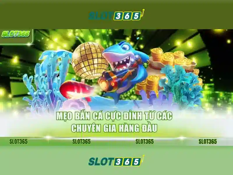 Slot365 - Trải nghiệm chơi slot đỉnh cao