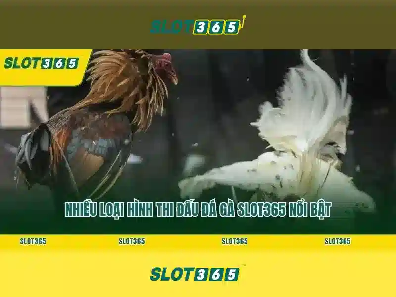 Slot365: Nền tảng đánh bạc trực tuyến