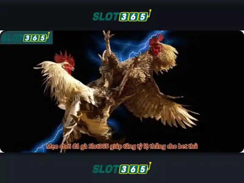 Slot365: Đánh giá nhanh về nền tảng slot trực tuyến