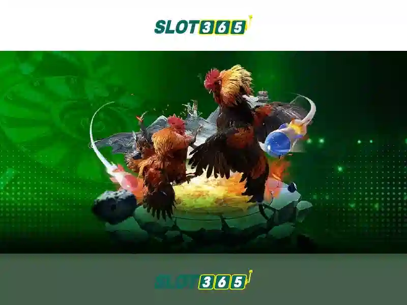 'Trải nghiệm người dùng và phản hồi cộng đồng'