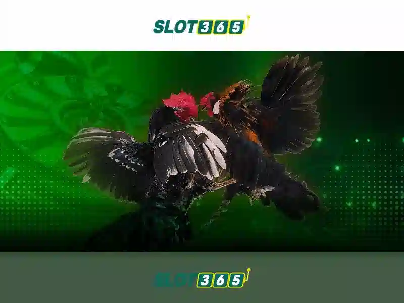 Trò chơi slot365 và hệ sinh thái