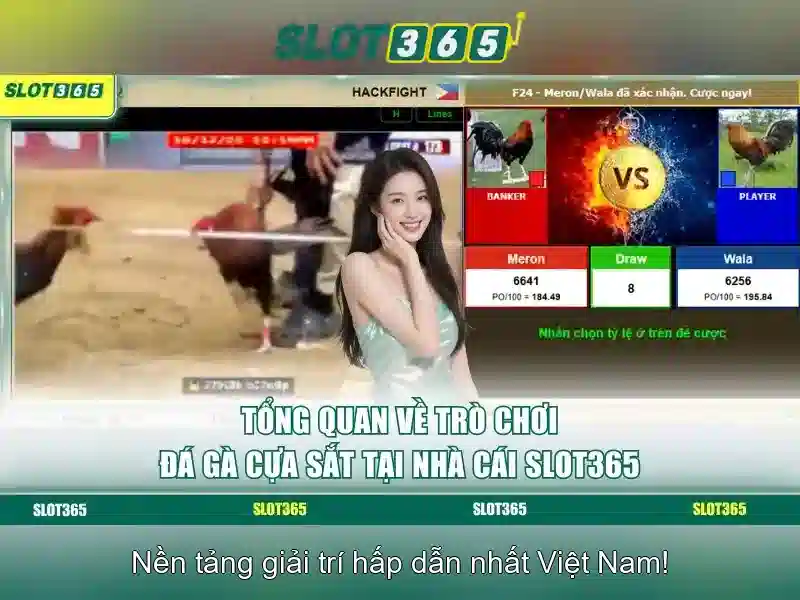Slot365: Đánh giá nền tảng slot trực tuyến an toàn và hấp dẫn