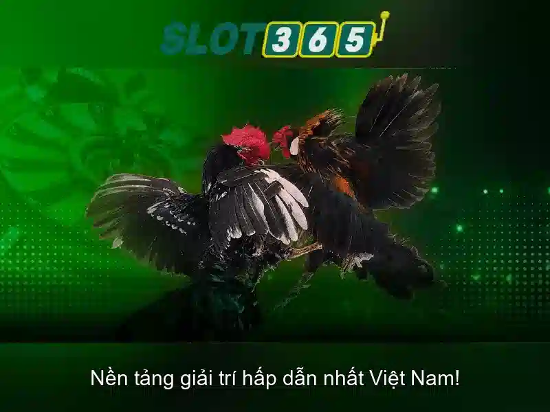 Các sản phẩm và dịch vụ của slot365 win