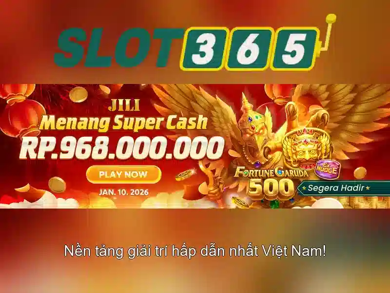 Giao diện người dùng và trải nghiệm di động