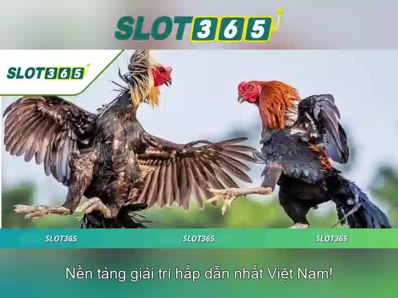 Đa dạng trò chơi và nhà phát triển