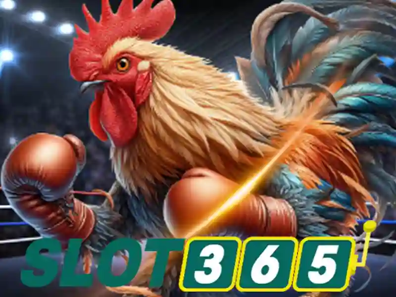 slot365. - Trải nghiệm slot365 và hành trình thương hiệu