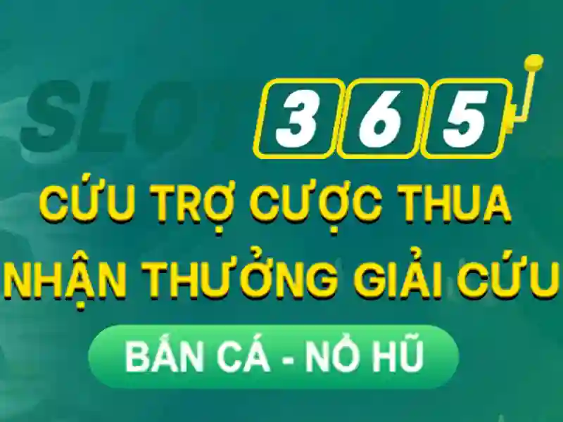 Giao diện và truy cập